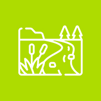 cat-icon