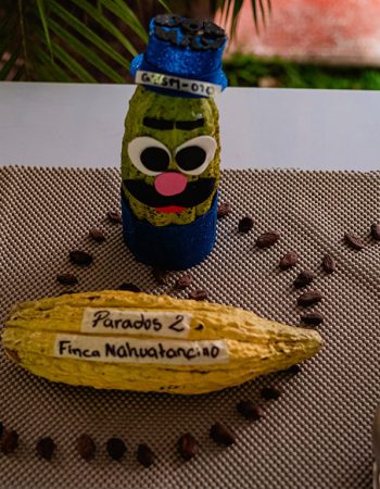 BEPSI INTERTNATIONAL S.A /NUYAAK