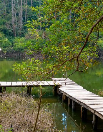 Parque Nacional Las Victorias