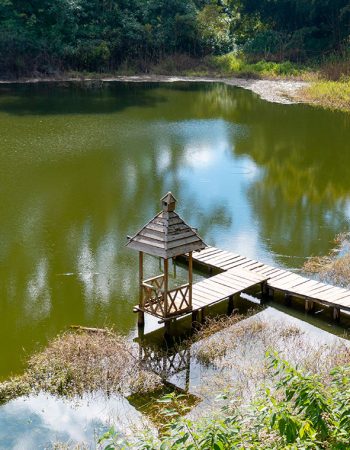 Parque Nacional Las Victorias