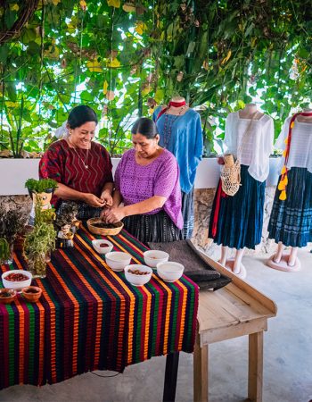 BEPSI INTERTNATIONAL S.A /NUYAAK