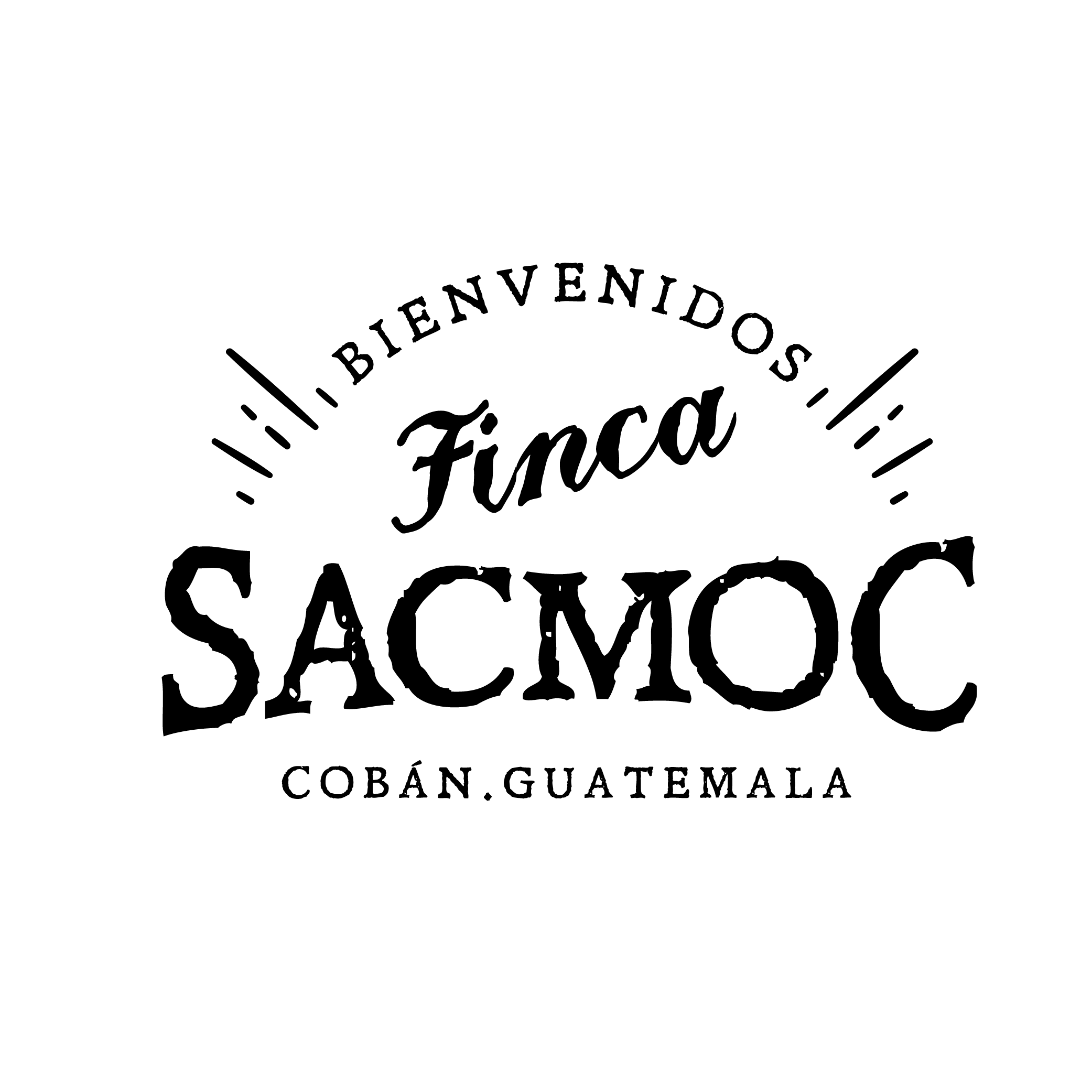 Logo Viviente Verapaz