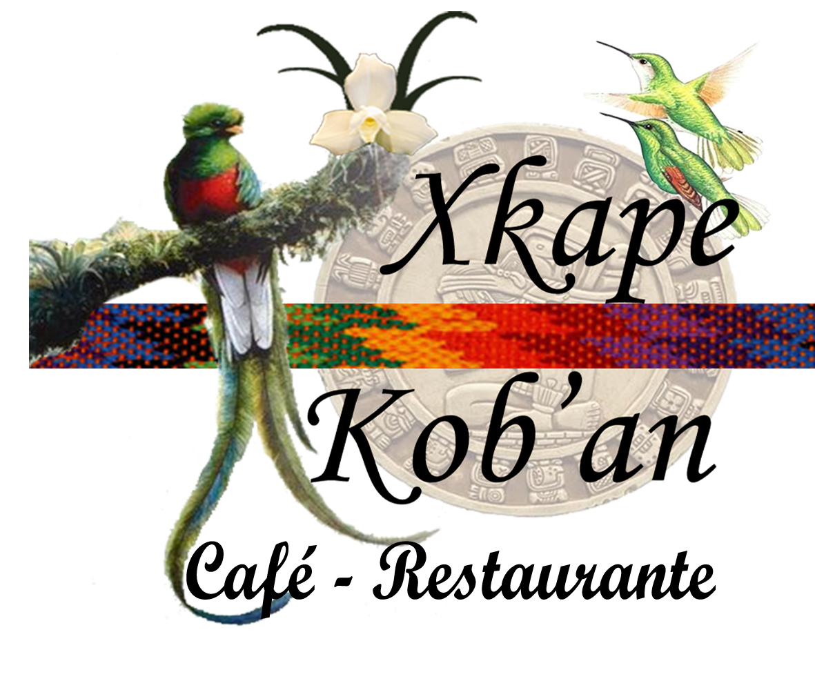 Logo Viviente Verapaz